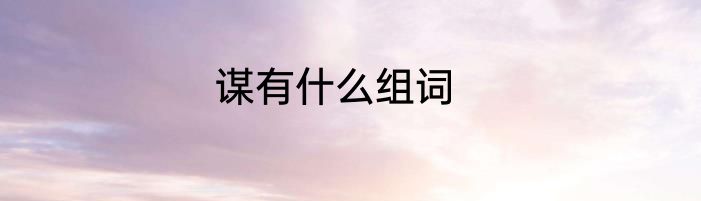 谋有什么组词