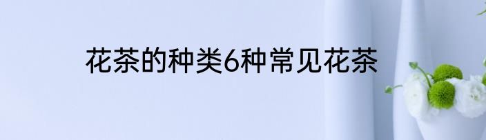 花茶的种类6种常见花茶