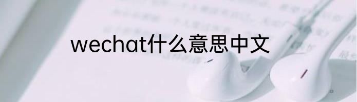 wechat什么意思中文