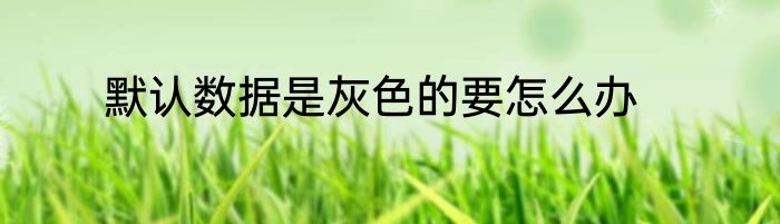 默认数据是灰色的要怎么办