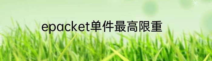 epacket单件最高限重