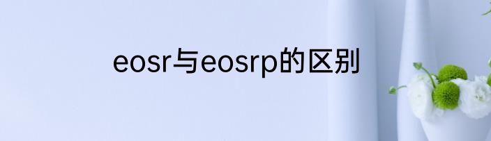 eosr与eosrp的区别