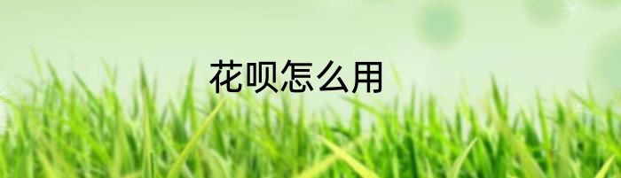 花呗怎么用