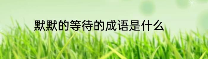 默默的等待的成语是什么