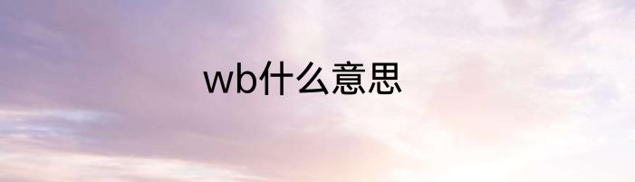 wb什么意思