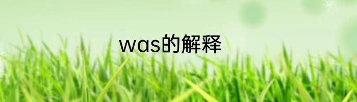 was的解释