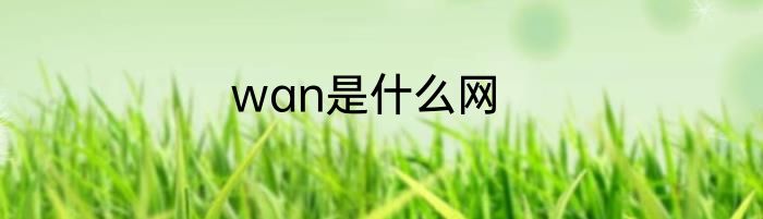 wan是什么网