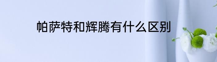 帕萨特和辉腾有什么区别