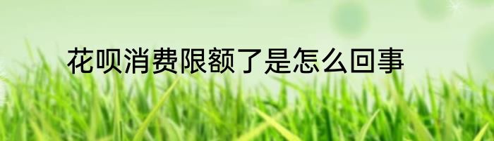 花呗消费限额了是怎么回事