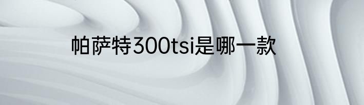 帕萨特300tsi是哪一款