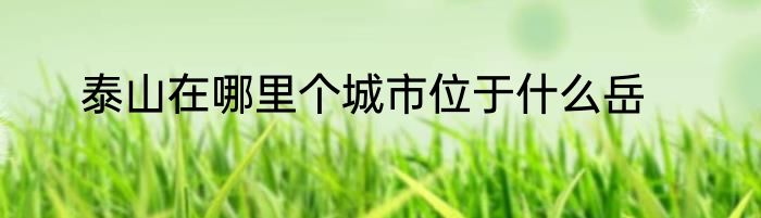 泰山在哪里个城市位于什么岳