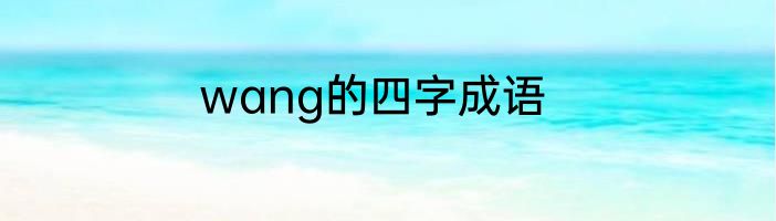 wang的四字成语