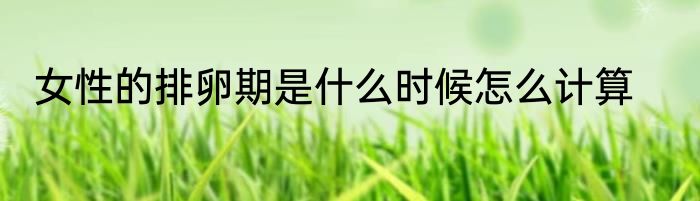 女性的排卵期是什么时候怎么计算