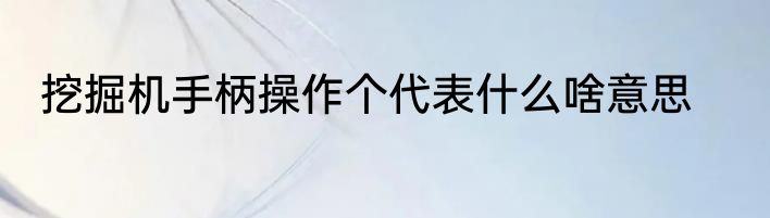 挖掘机手柄操作个代表什么啥意思