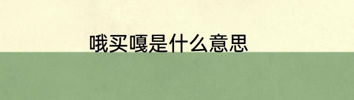 哦买嘎是什么意思