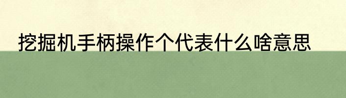 挖掘机手柄操作个代表什么啥意思