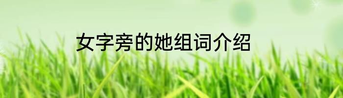 女字旁的她组词介绍