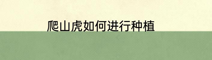 爬山虎如何进行种植