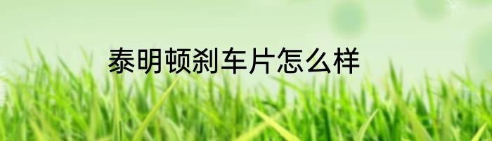 泰明顿刹车片怎么样