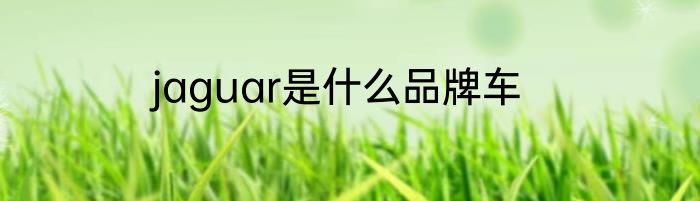 jaguar是什么品牌车