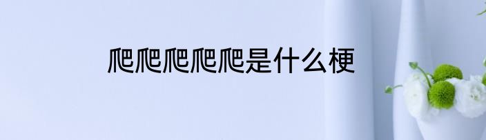 爬爬爬爬爬是什么梗