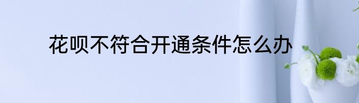 花呗不符合开通条件怎么办