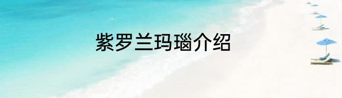 紫罗兰玛瑙介绍