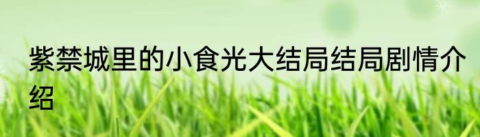 紫禁城里的小食光大结局结局剧情介绍