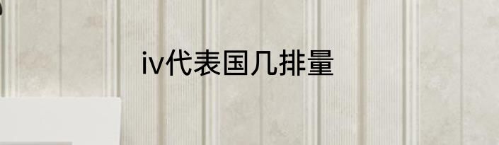 iv代表国几排量