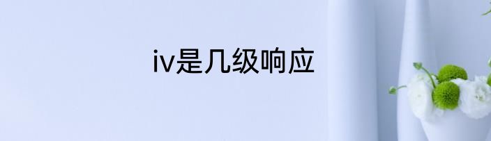 iv是几级响应