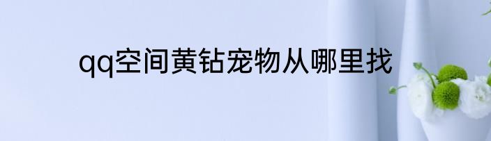 qq空间黄钻宠物从哪里找