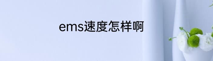 ems速度怎样啊