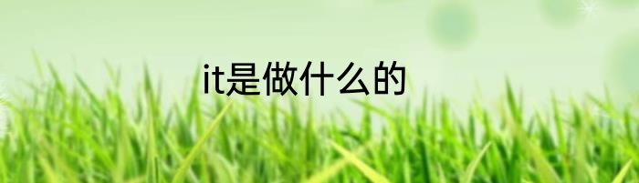 it是做什么的