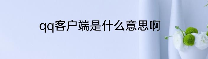 qq客户端是什么意思啊