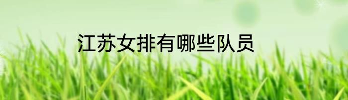 江苏女排有哪些队员