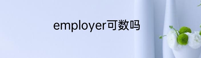 employer可数吗