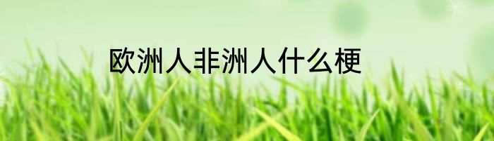 欧洲人非洲人什么梗