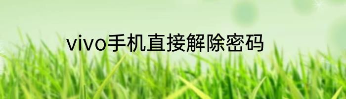 vivo手机直接解除密码