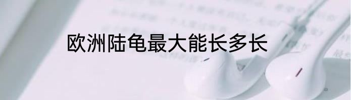 欧洲陆龟最大能长多长