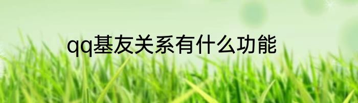qq基友关系有什么功能