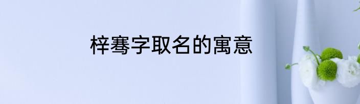 梓骞字取名的寓意