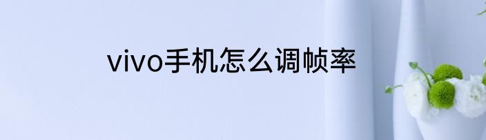 vivo手机怎么调帧率