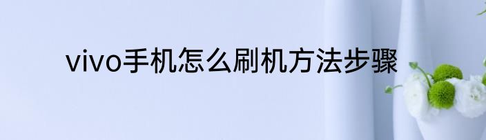 vivo手机怎么刷机方法步骤