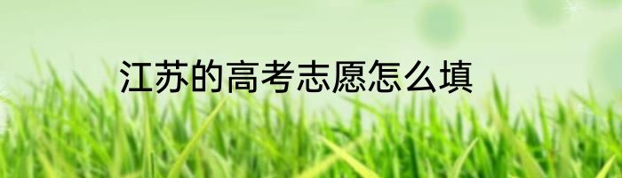 江苏的高考志愿怎么填