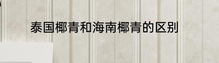 泰国椰青和海南椰青的区别
