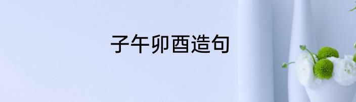 子午卯酉造句