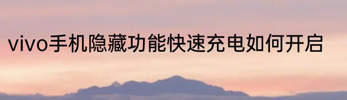 vivo手机隐藏功能快速充电如何开启