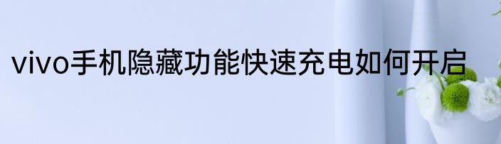 vivo手机隐藏功能快速充电如何开启