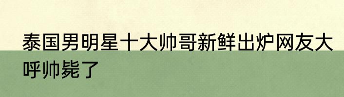 泰国男明星十大帅哥新鲜出炉网友大呼帅毙了