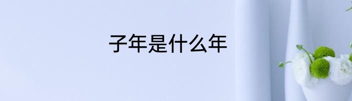 子年是什么年